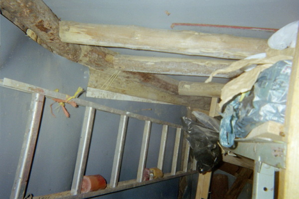 Ladder in main room